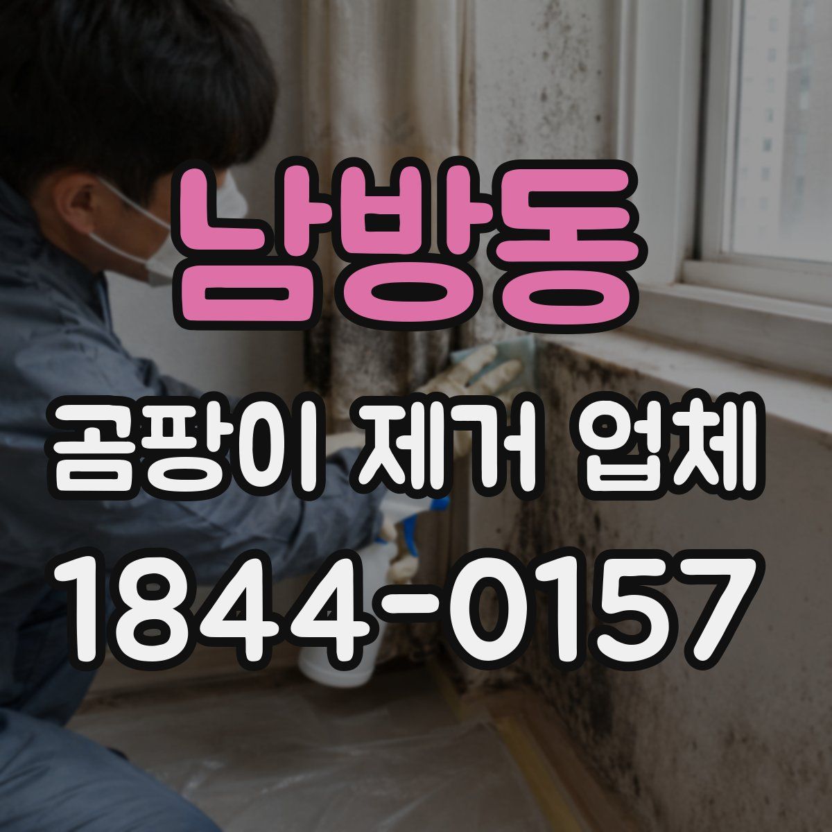 남방동 곰팡이 제거 업체