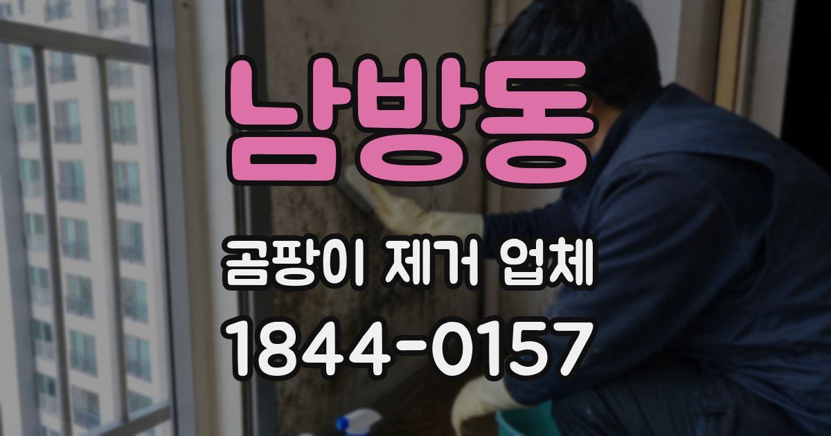 남방동 곰팡이 제거 업체