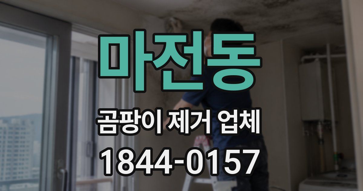 마전동 곰팡이 제거 업체