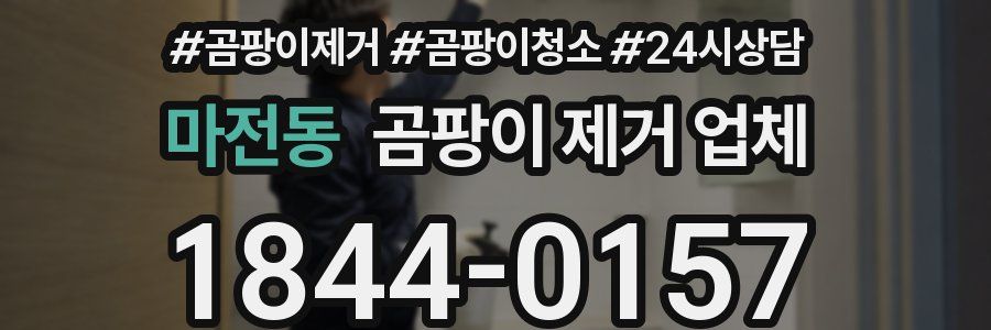 마전동 곰팡이 제거 업체