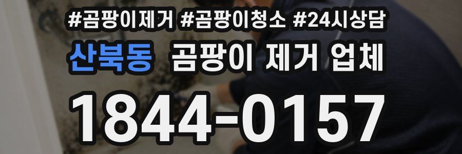 산북동 곰팡이 제거 업체