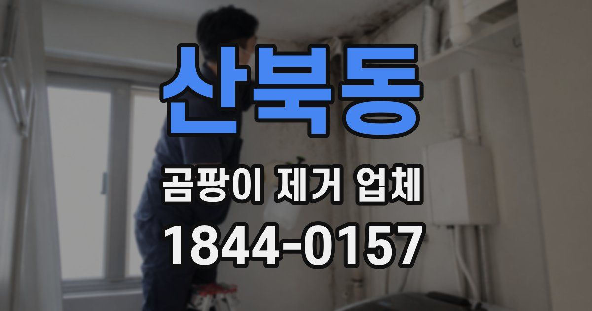 산북동 곰팡이 제거 업체
