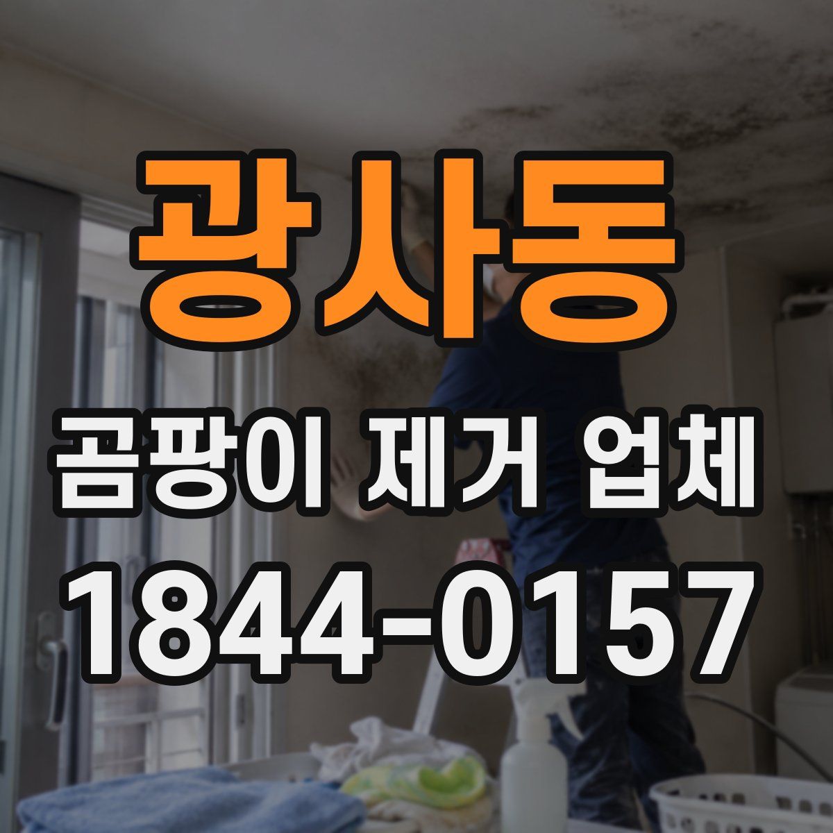 광사동 곰팡이 제거 업체