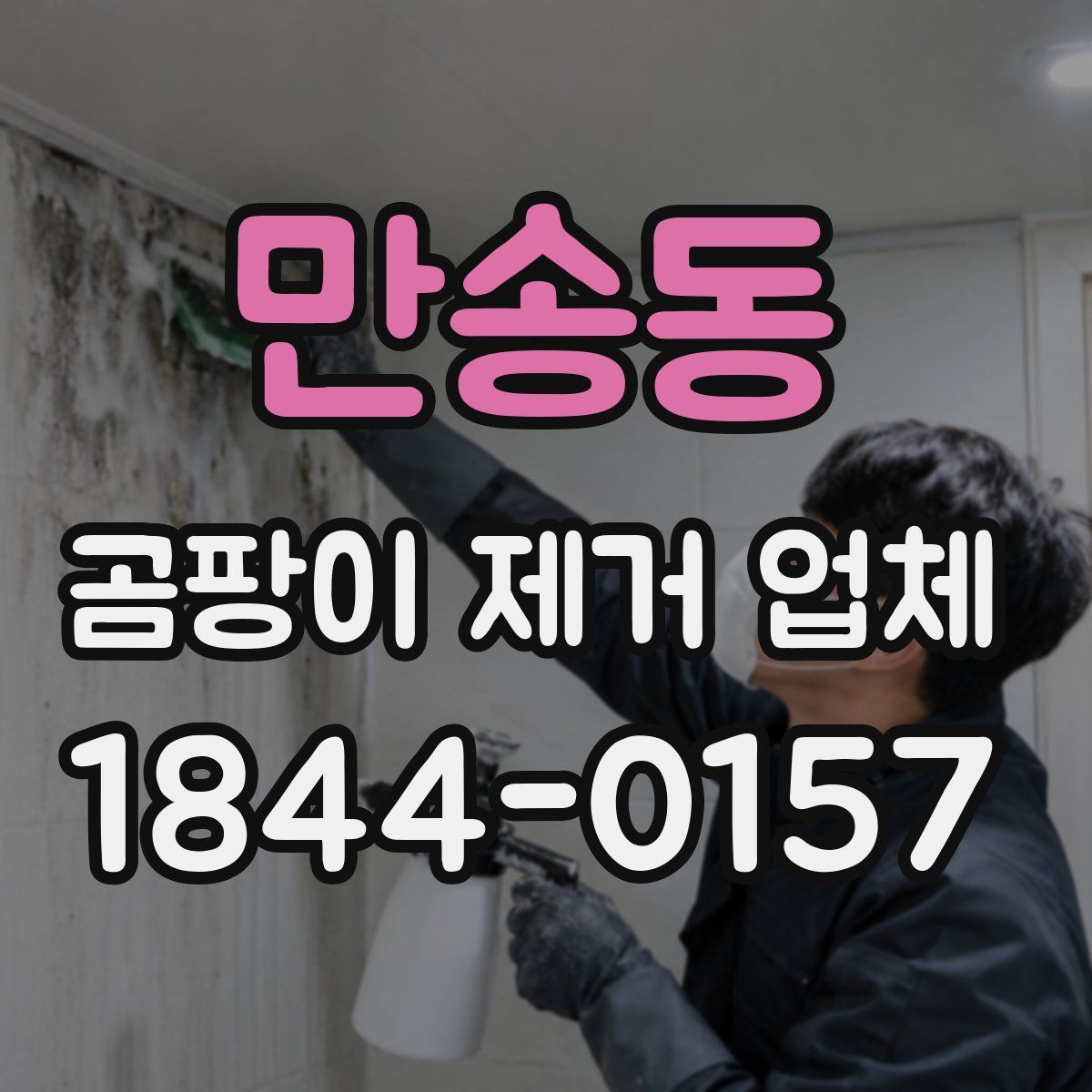 만송동 곰팡이 제거 업체