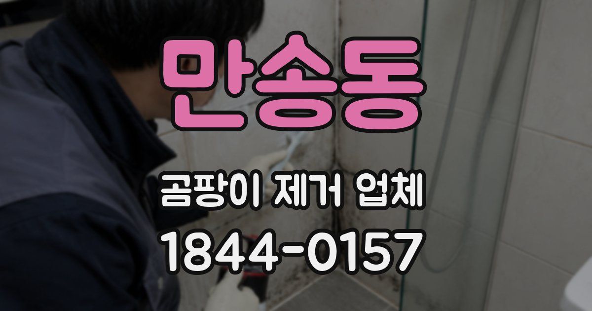 만송동 곰팡이 제거 업체