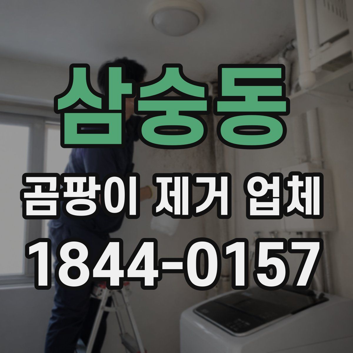 삼숭동 곰팡이 제거 업체