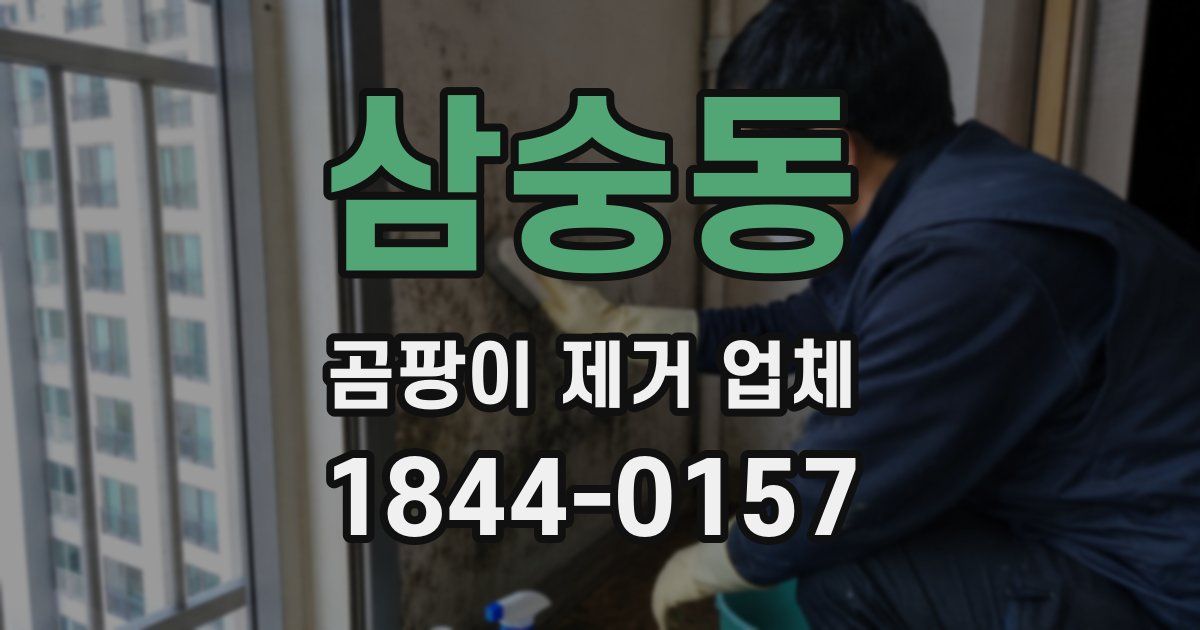 삼숭동 곰팡이 제거 업체