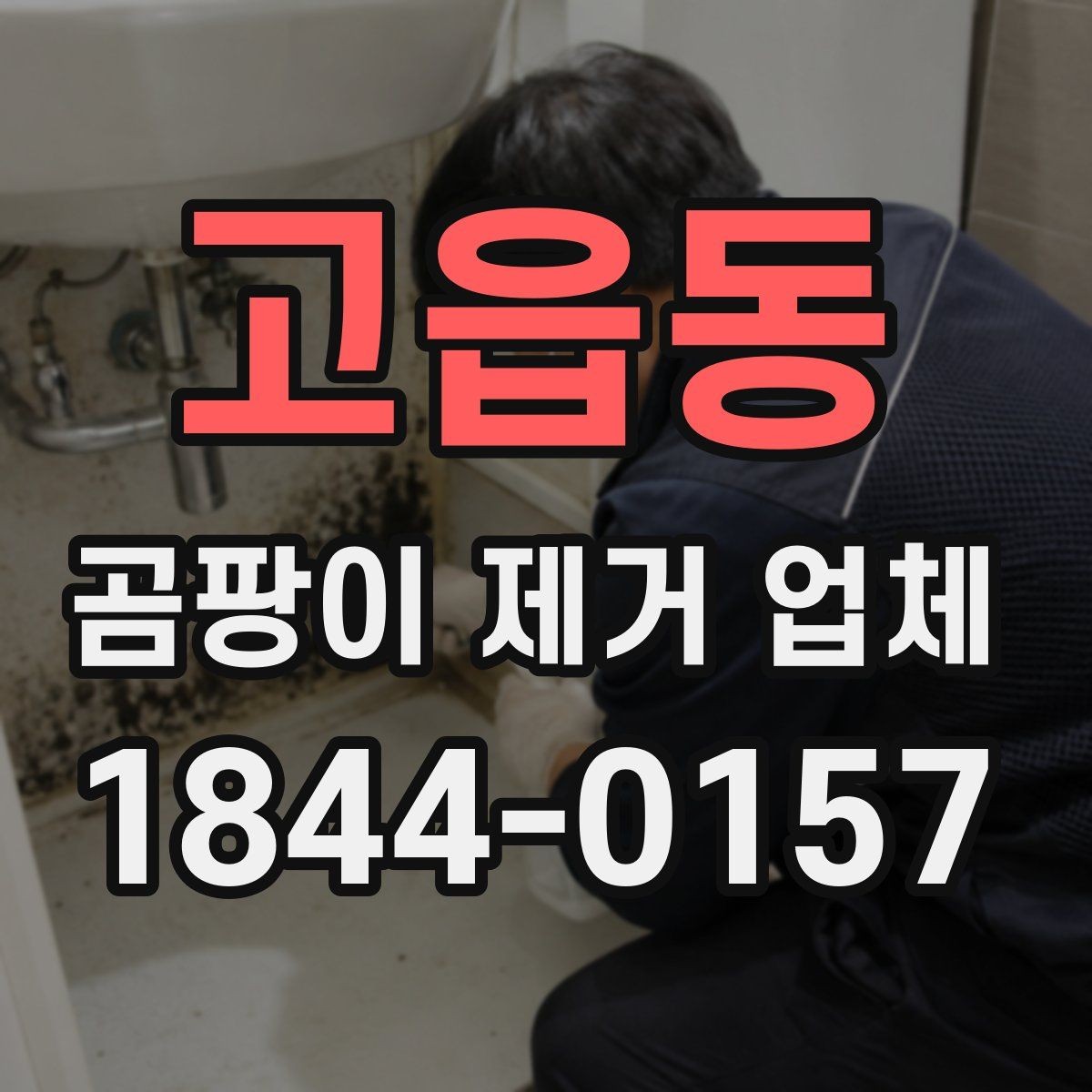 고읍동 곰팡이 제거 업체 냄새가 먼저 나는 공간의 진단 순서