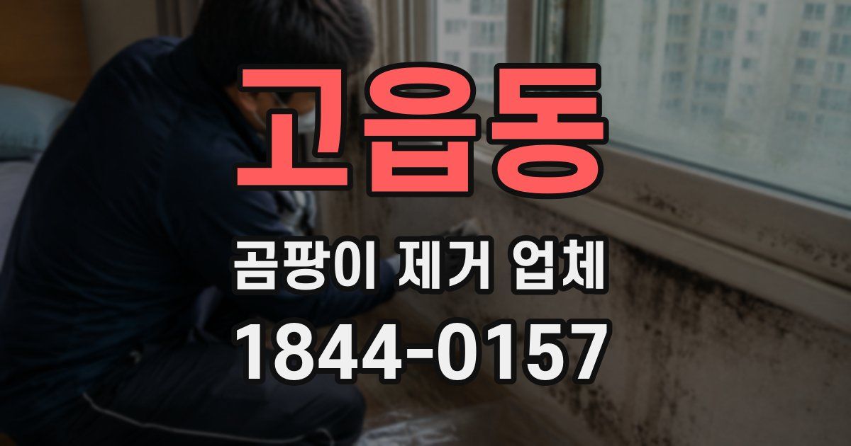 고읍동 곰팡이 제거 업체