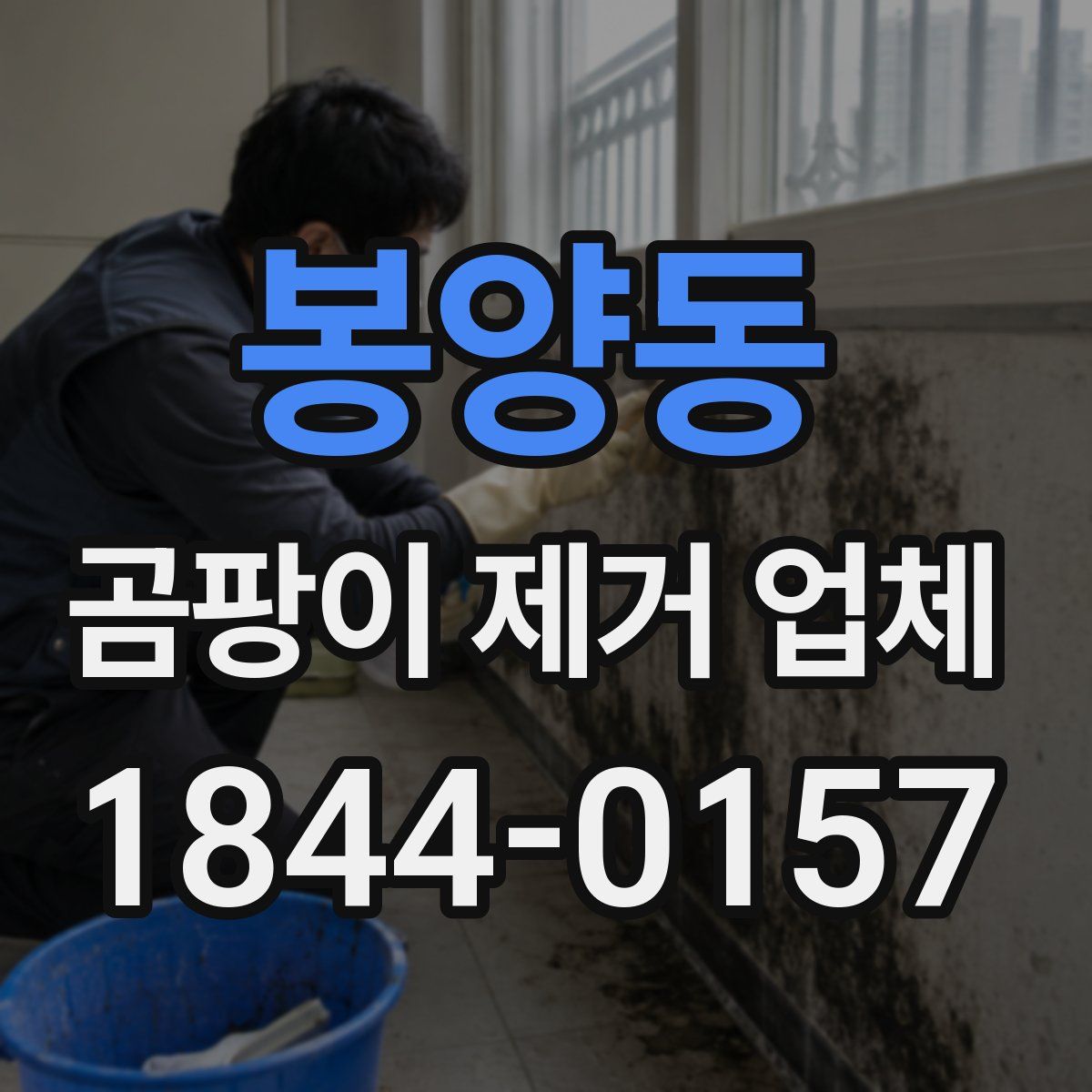 봉양동 곰팡이 제거 업체