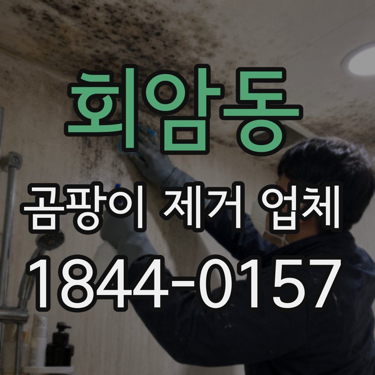 회암동 곰팡이 제거 업체 창틀 실리콘 주변 오염 확인이 중요한 이유