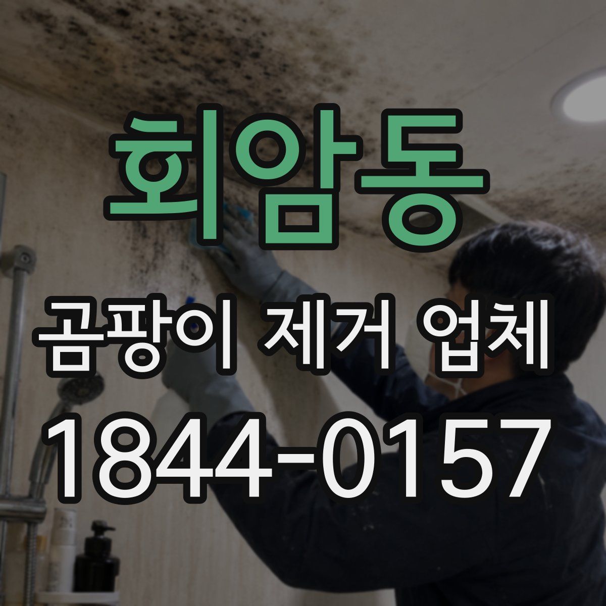 회암동 곰팡이 제거 업체