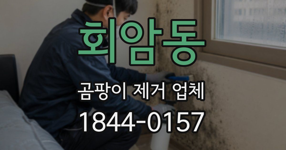회암동 곰팡이 제거 업체