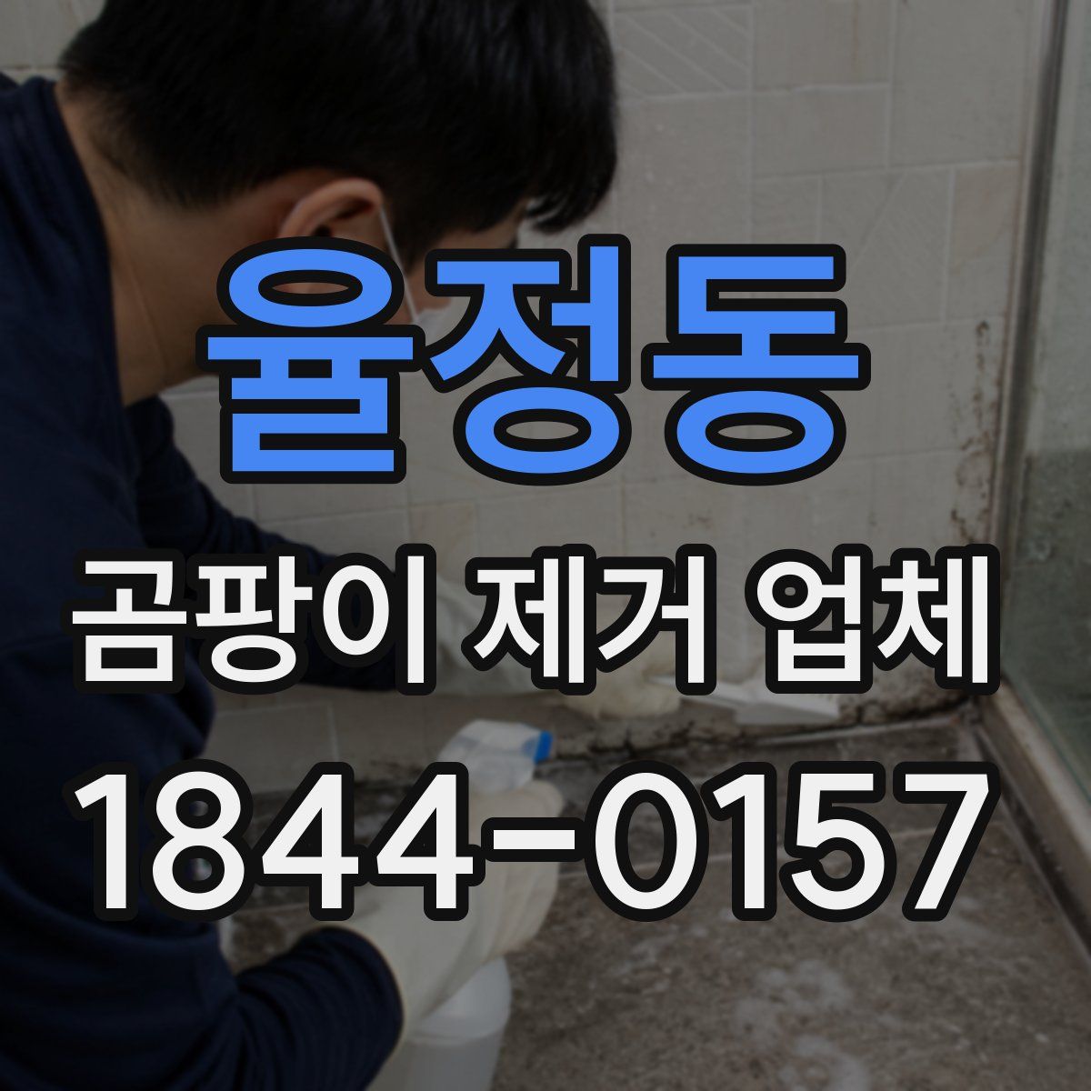 율정동 곰팡이 제거 업체
