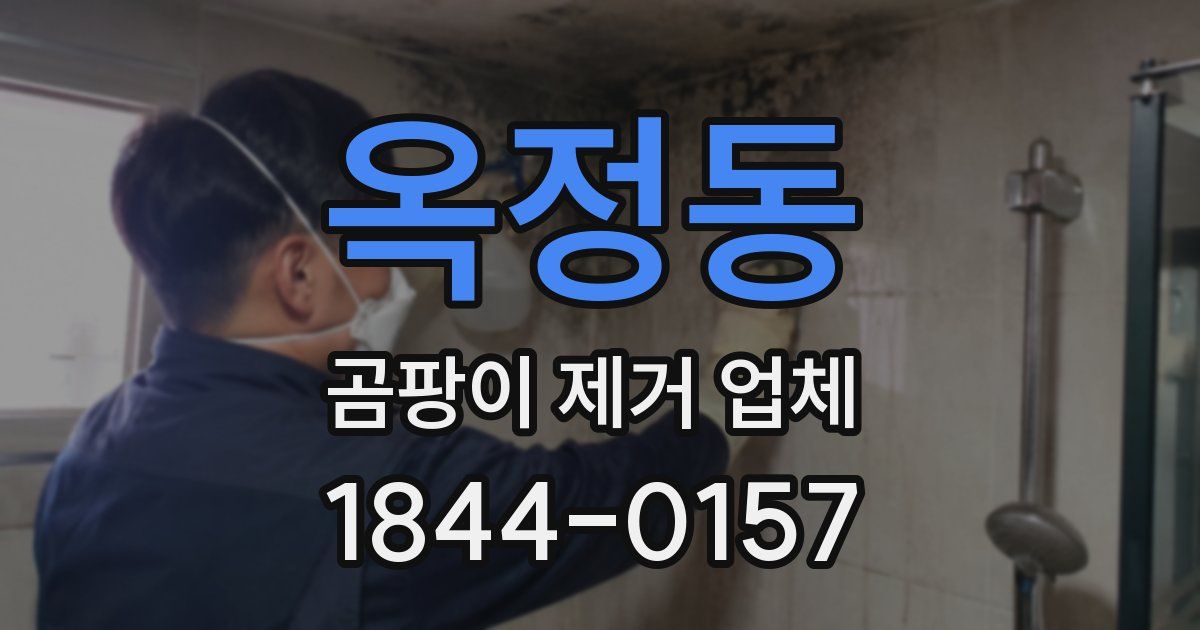 옥정동 곰팡이 제거 업체