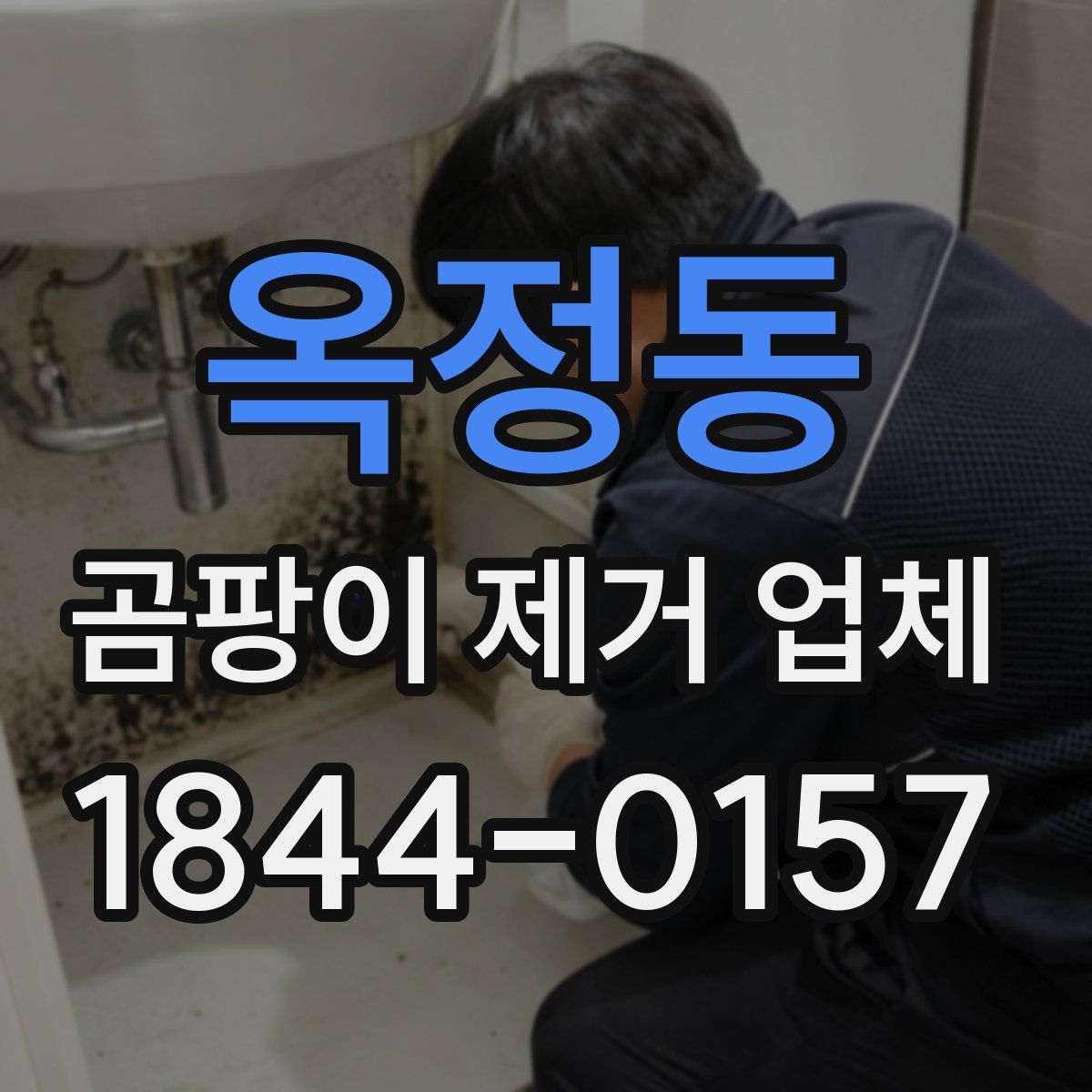 옥정동 곰팡이 제거 업체