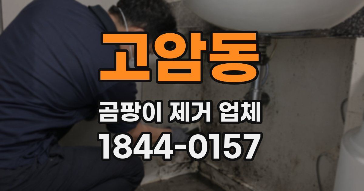 고암동 곰팡이 제거 업체