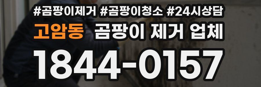 고암동 곰팡이 제거 업체