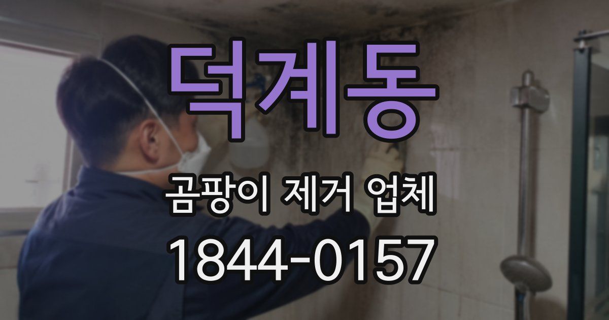 덕계동 곰팡이 제거 업체