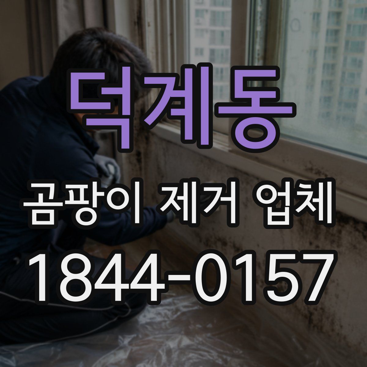 덕계동 곰팡이 제거 업체