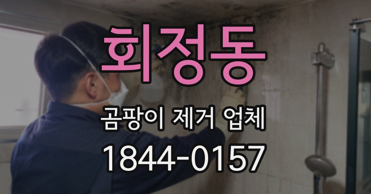 회정동 곰팡이 제거 업체