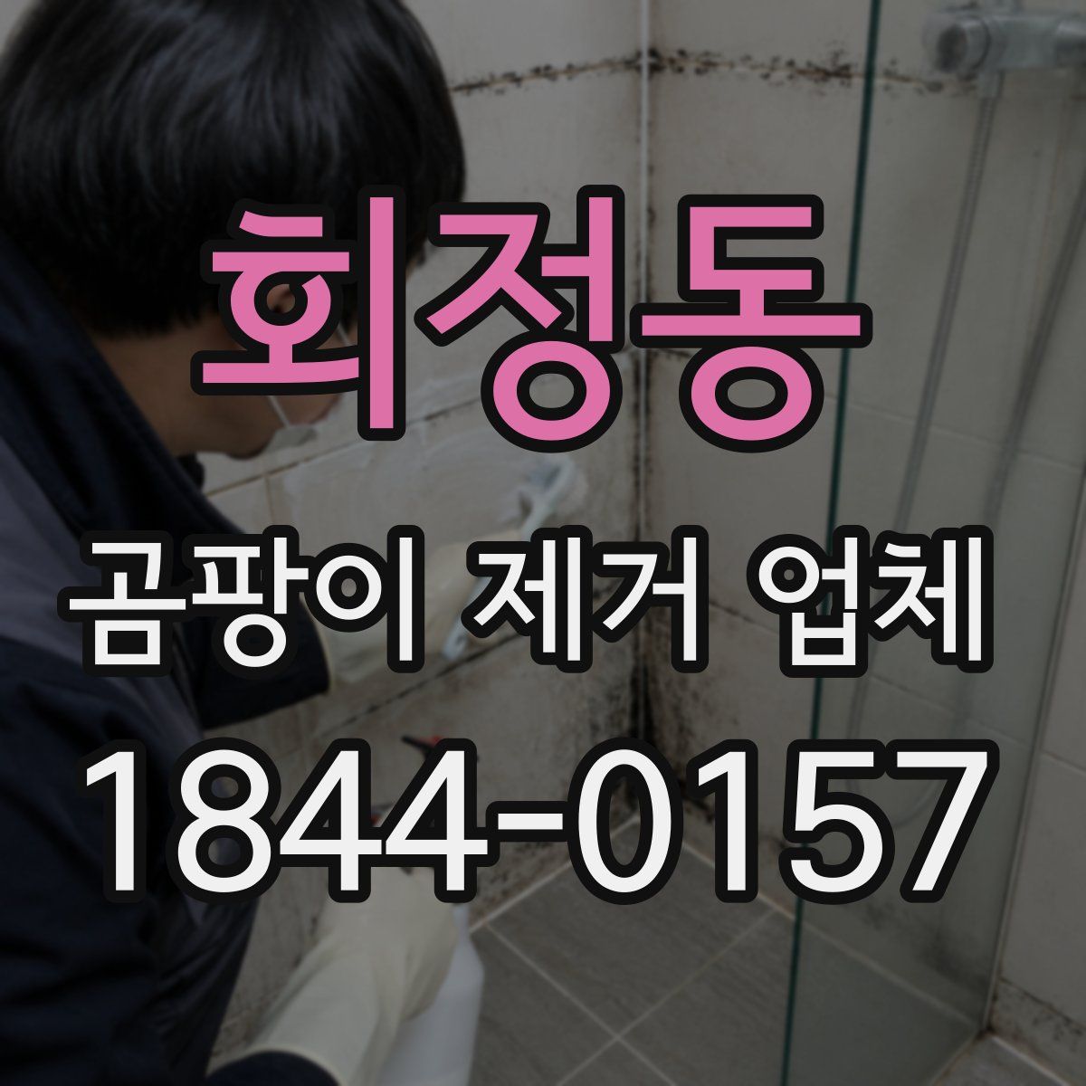 회정동 곰팡이 제거 업체