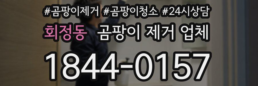 회정동 곰팡이 제거 업체