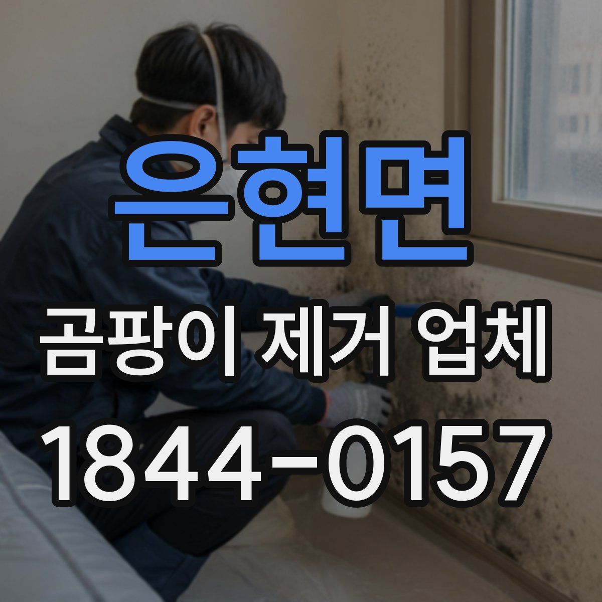은현면 곰팡이 제거 업체