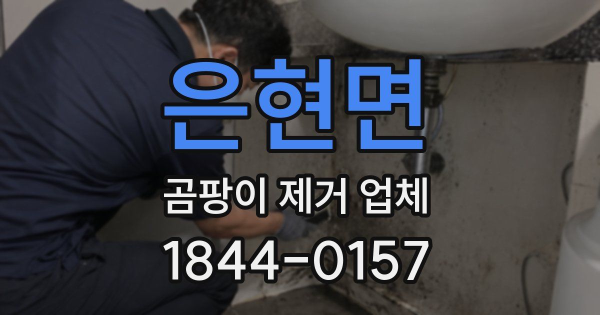은현면 곰팡이 제거 업체