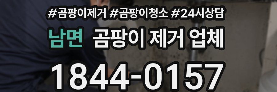 남면 곰팡이 제거 업체