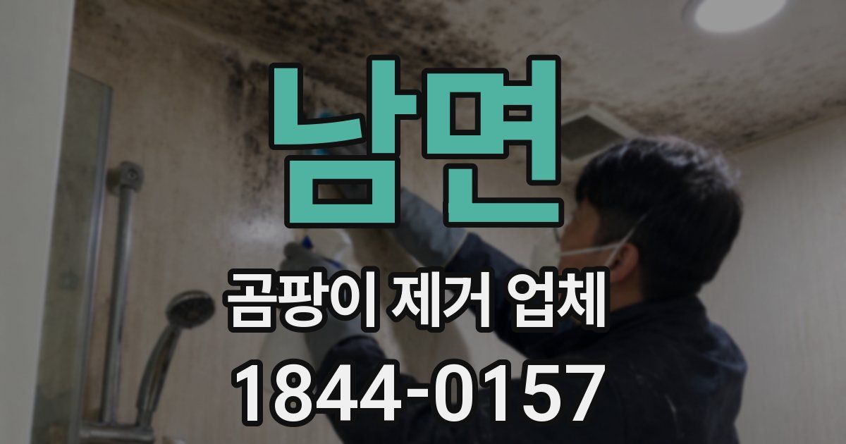 남면 곰팡이 제거 업체