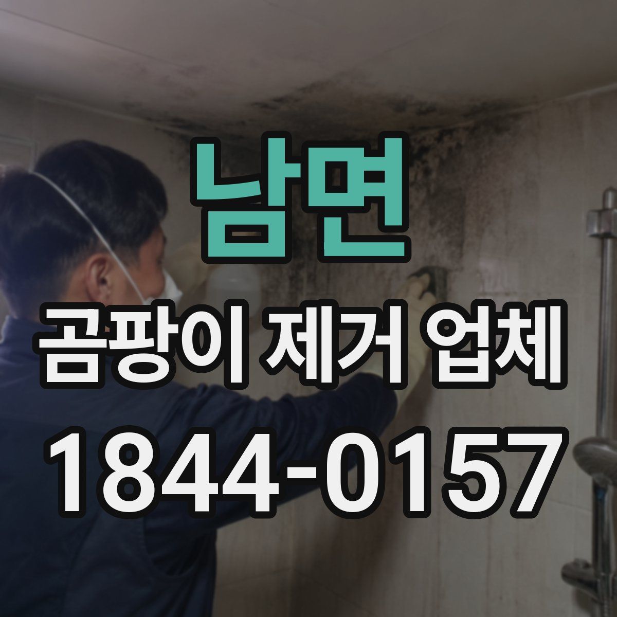 남면 곰팡이 제거 업체