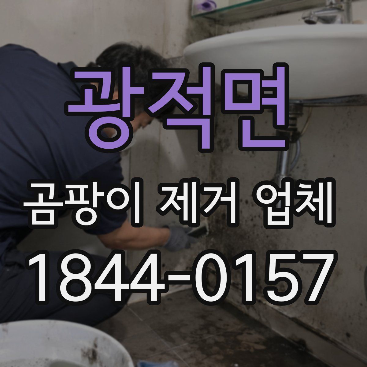 광적면 곰팡이 제거 업체