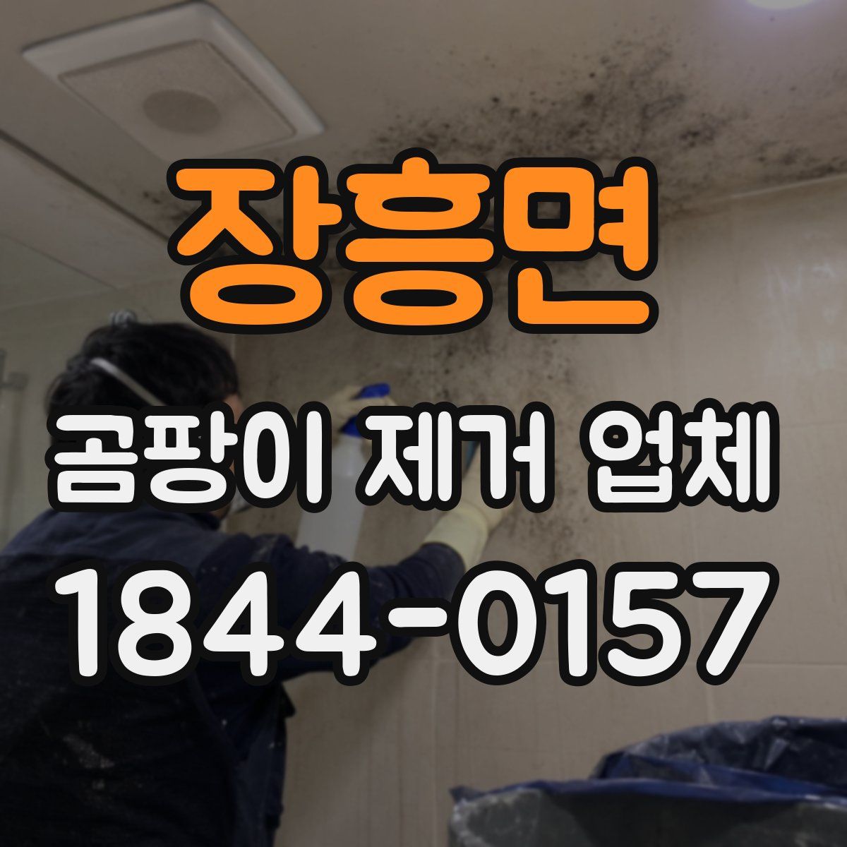 장흥면 곰팡이 제거 업체