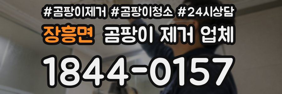 장흥면 곰팡이 제거 업체