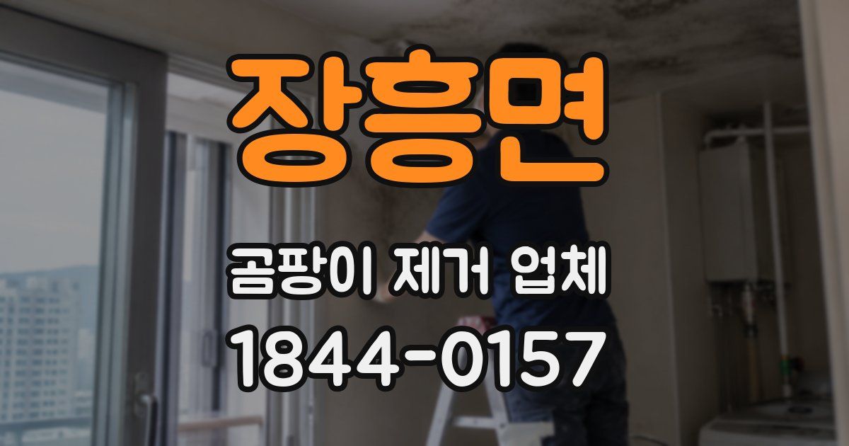 장흥면 곰팡이 제거 업체