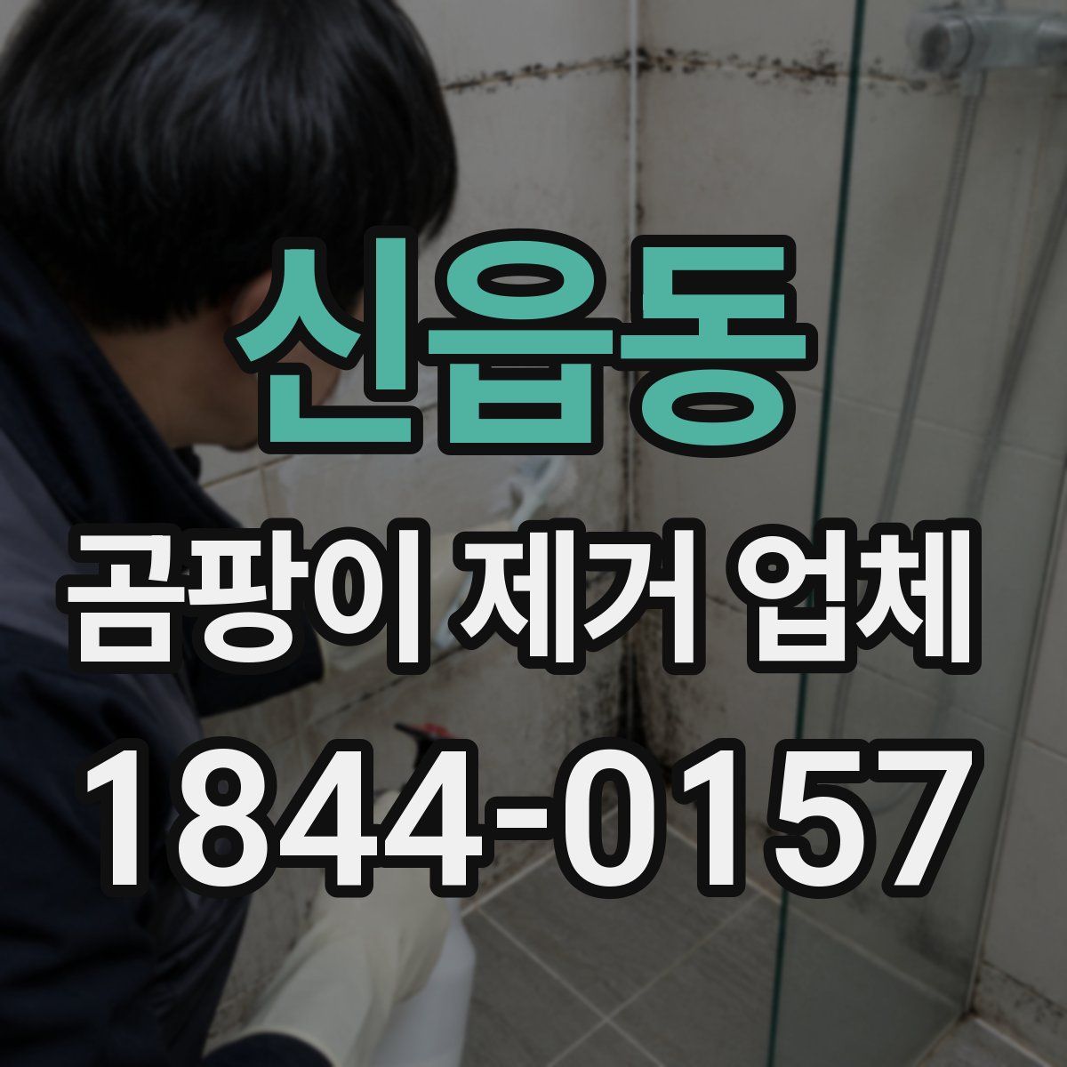 신읍동 곰팡이 제거 업체