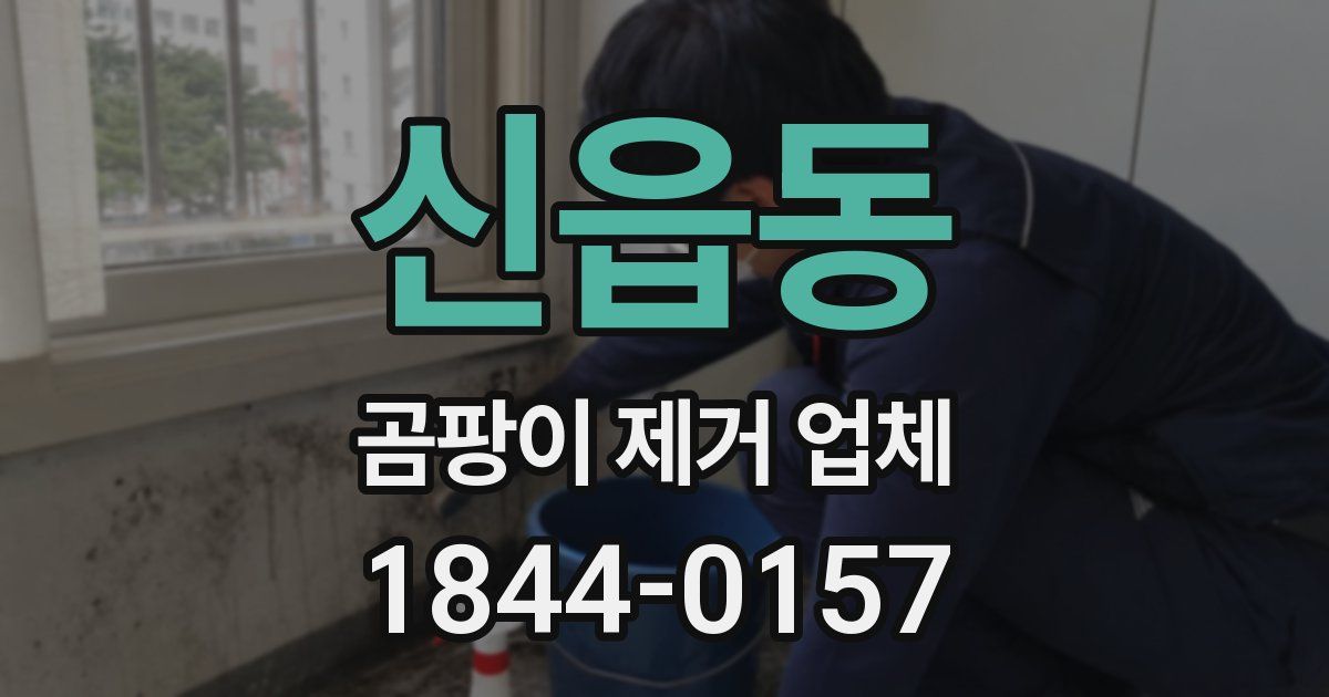 신읍동 곰팡이 제거 업체