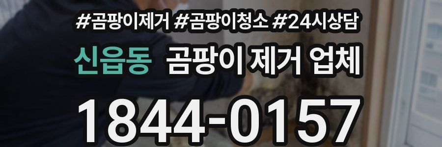 신읍동 곰팡이 제거 업체