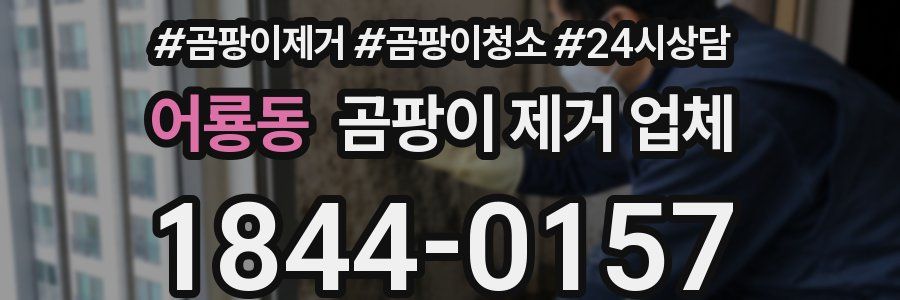 어룡동 곰팡이 제거 업체