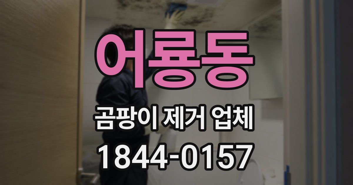 어룡동 곰팡이 제거 업체