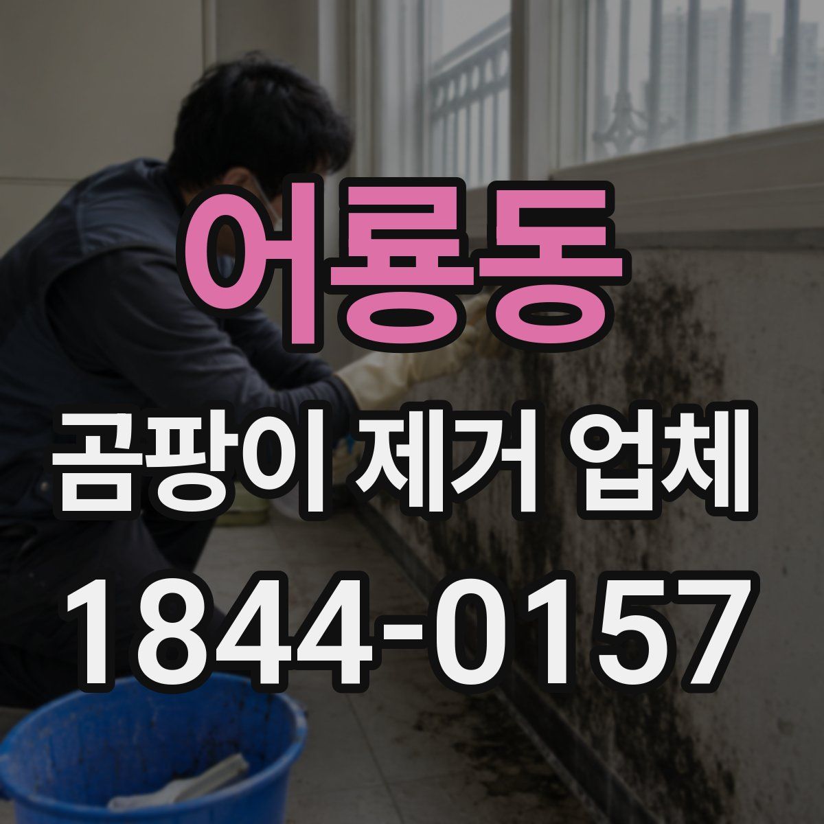 어룡동 곰팡이 제거 업체