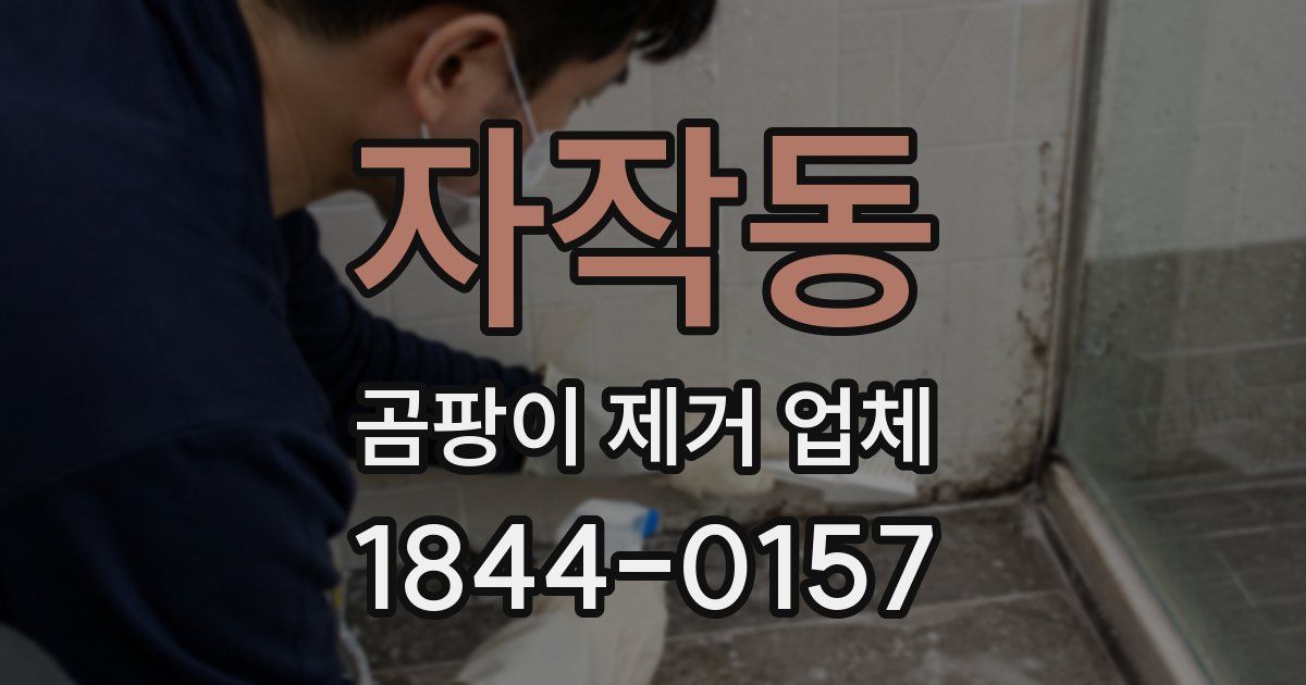 자작동 곰팡이 제거 업체