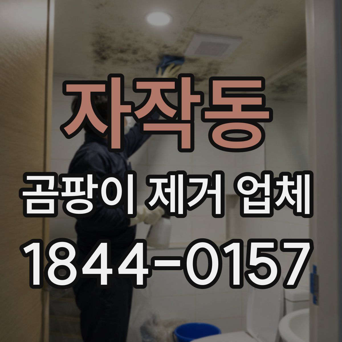 자작동 곰팡이 제거 업체