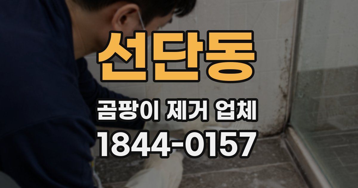 선단동 곰팡이 제거 업체