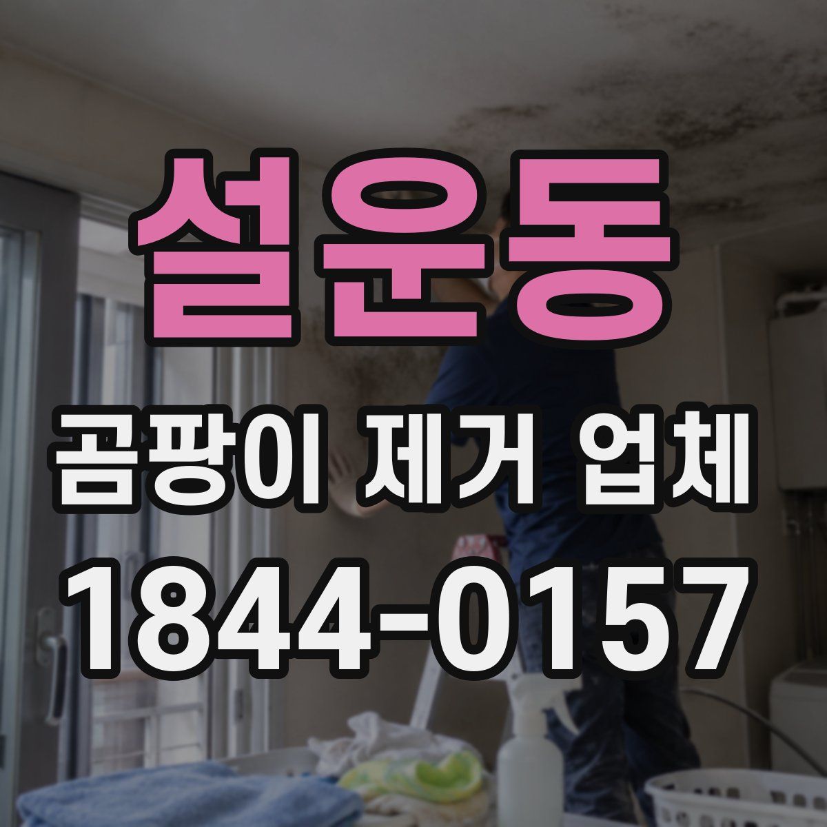 설운동 곰팡이 제거 업체