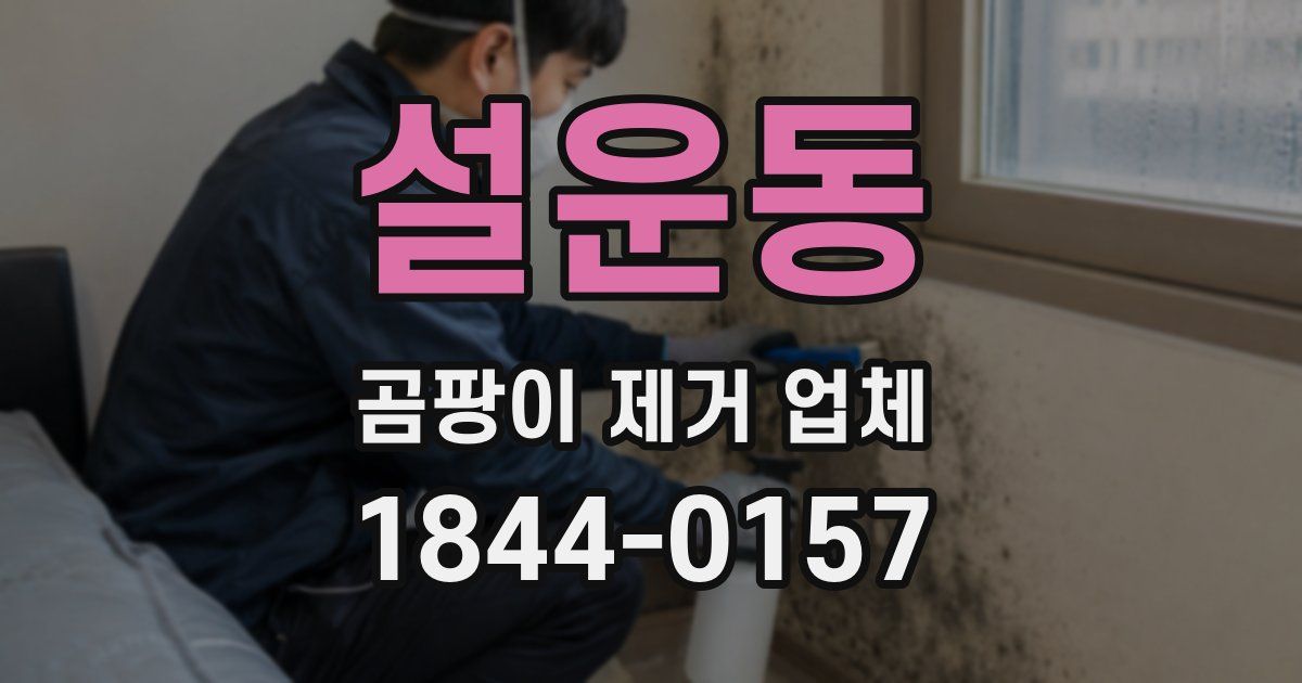 설운동 곰팡이 제거 업체