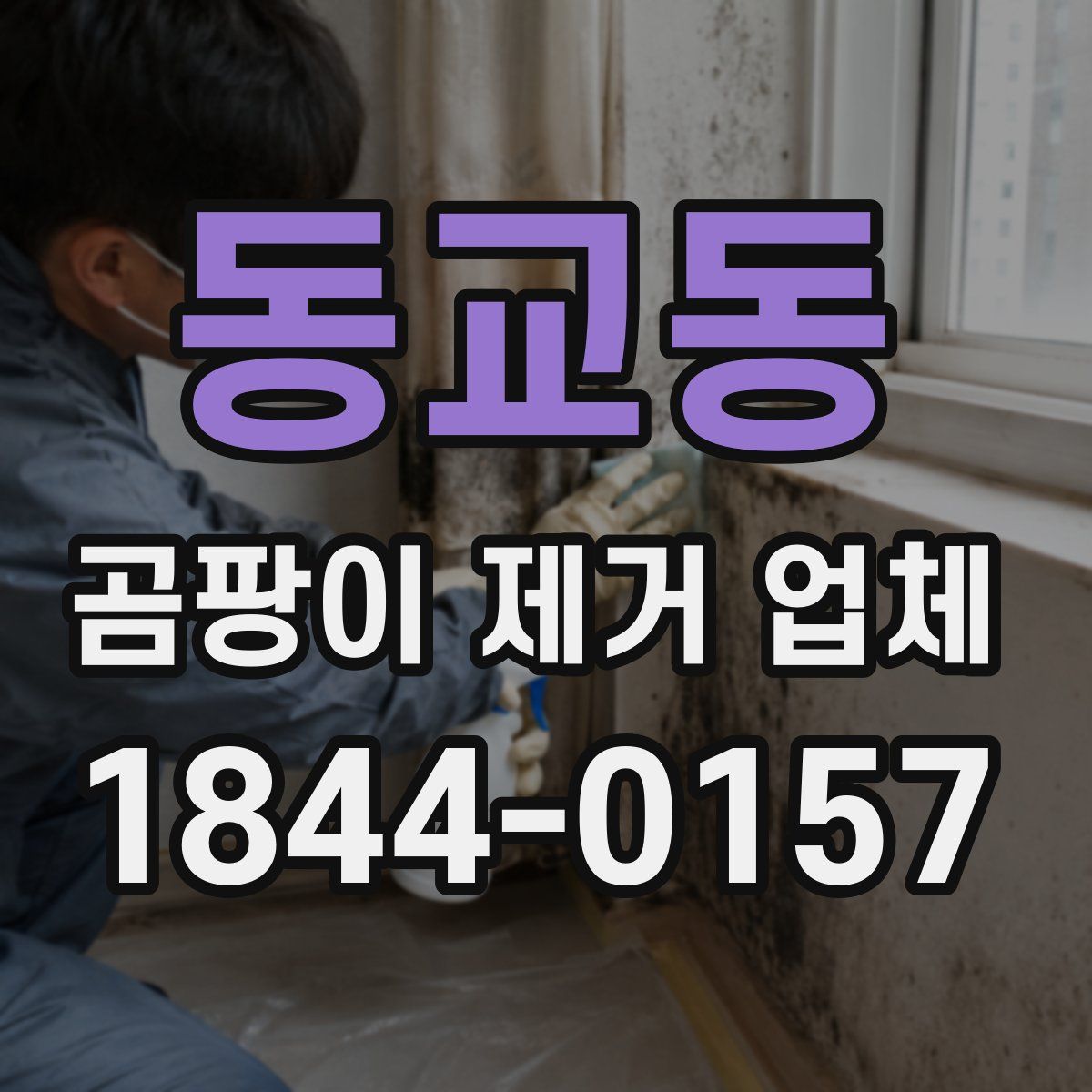 동교동 곰팡이 제거 업체
