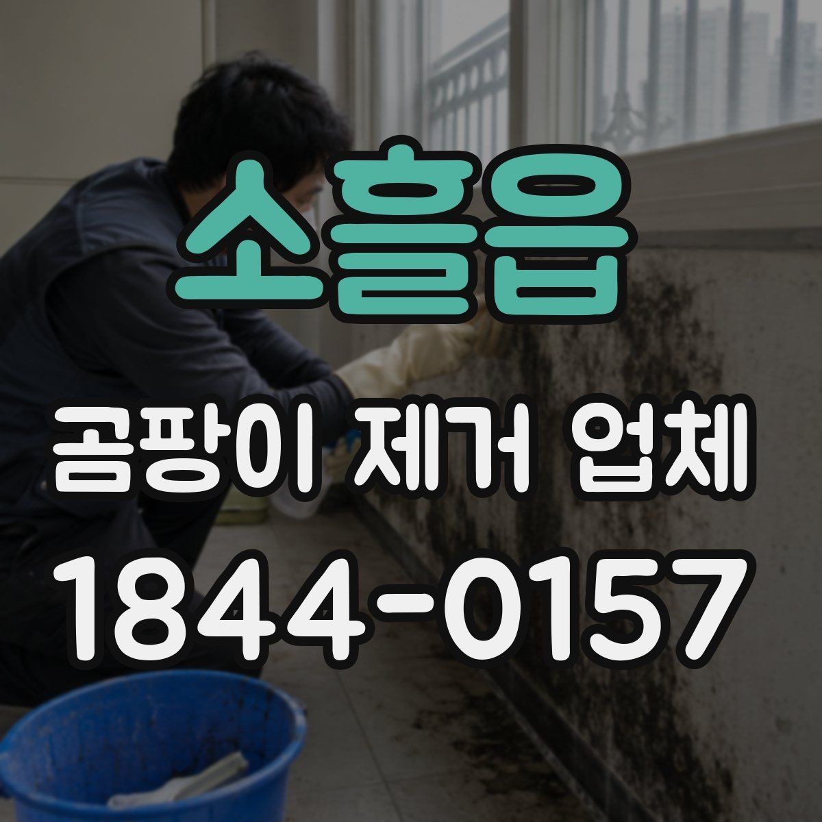 소흘읍 곰팡이 제거 업체 공용부와 전용부 책임을 구분하는 기준