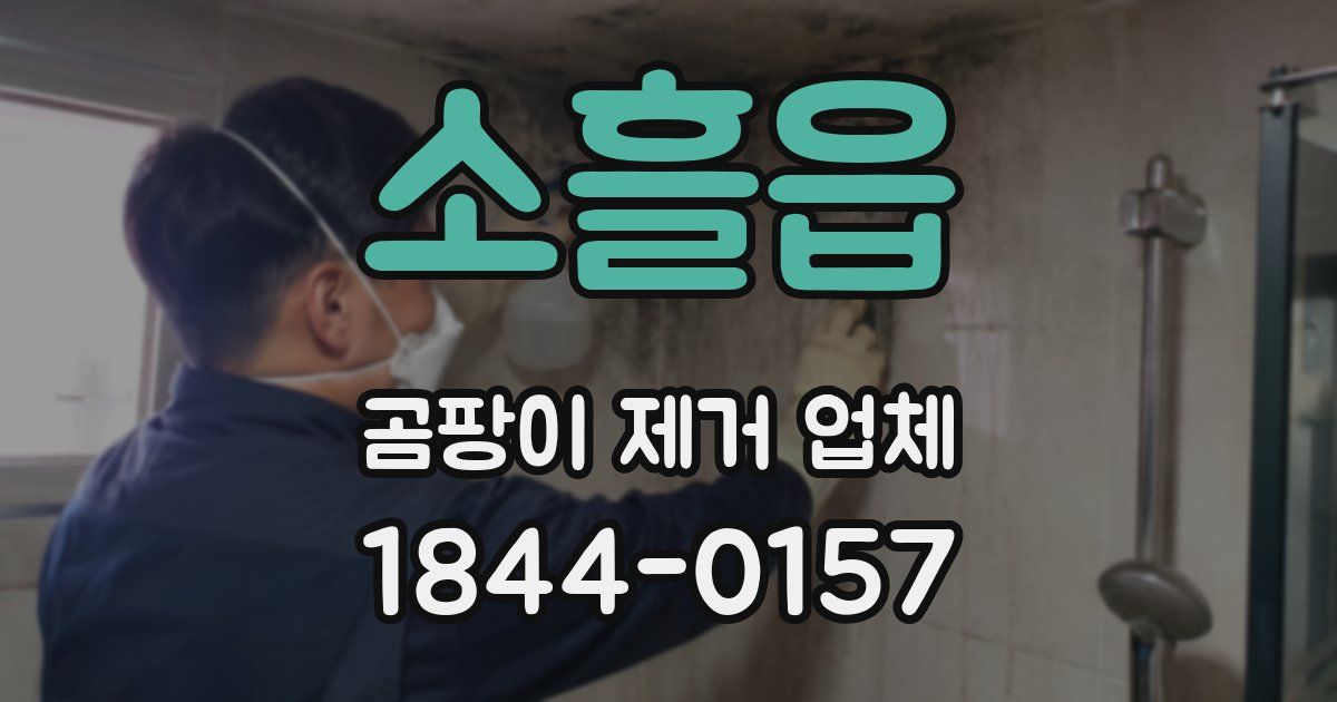 소흘읍 곰팡이 제거 업체